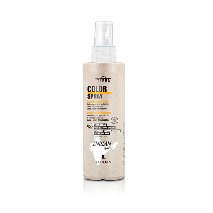 LENDAN COLOR SPRAY 200ML