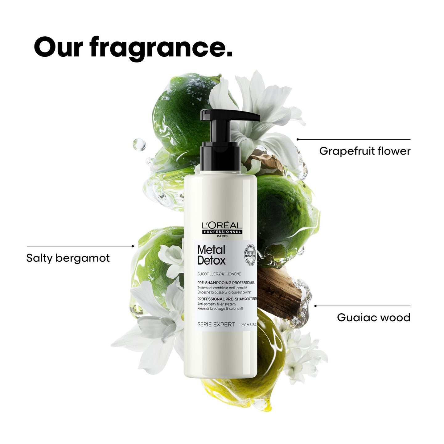 L'OREAL METAL DETOX PRE-SHAMPOO 250ML