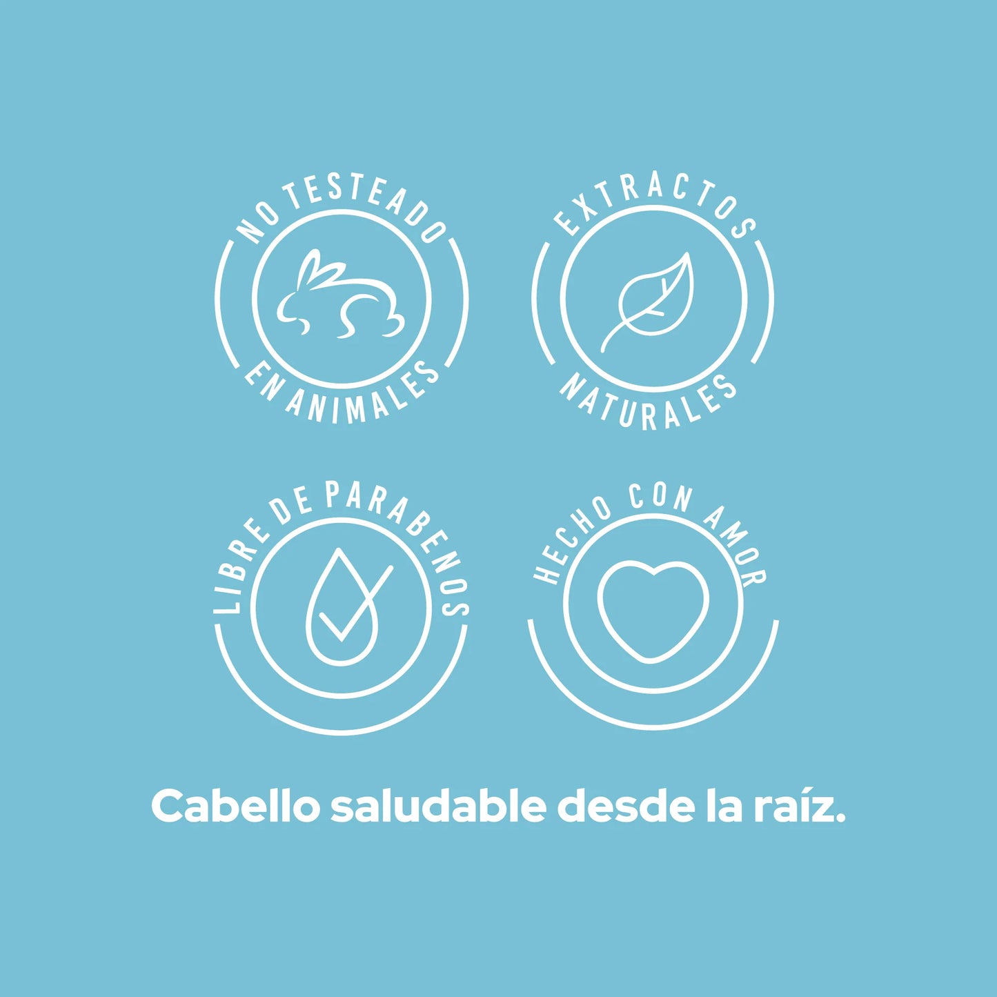 ANYELUZ SHAMPOO CASPA 400ML