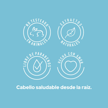 ANYELUZ SHAMPOO CASPA 400ML