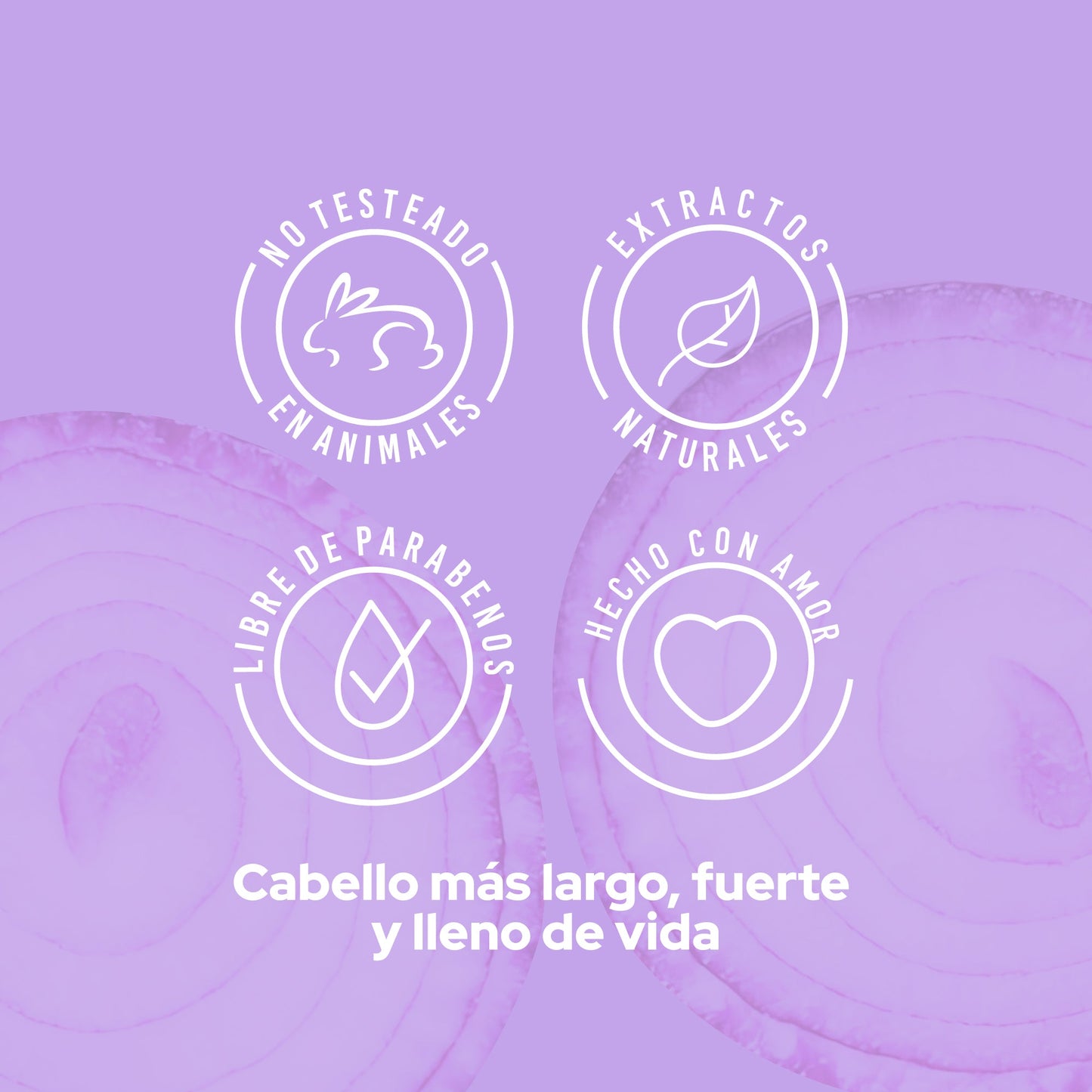 ANYELUZ SHAMPOO DE CEBOLLA 500ML